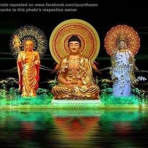 Meet your Posher, Diep